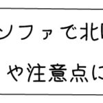unico(ウニコ)のソファで北欧風に!気を付けたいポイントとか書いてみました。