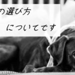 【ソファの選び方】サイズや色、素材に分けて考えるのが重要です!