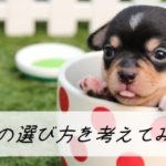 【ベッドの選び方】マットレスとベッドフレーム、そしてサイズや特徴に分けて探しましょう
