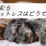 【腰の痛みに、このマットレス!】腰痛の悩みにおすすめなのを選んでみました!